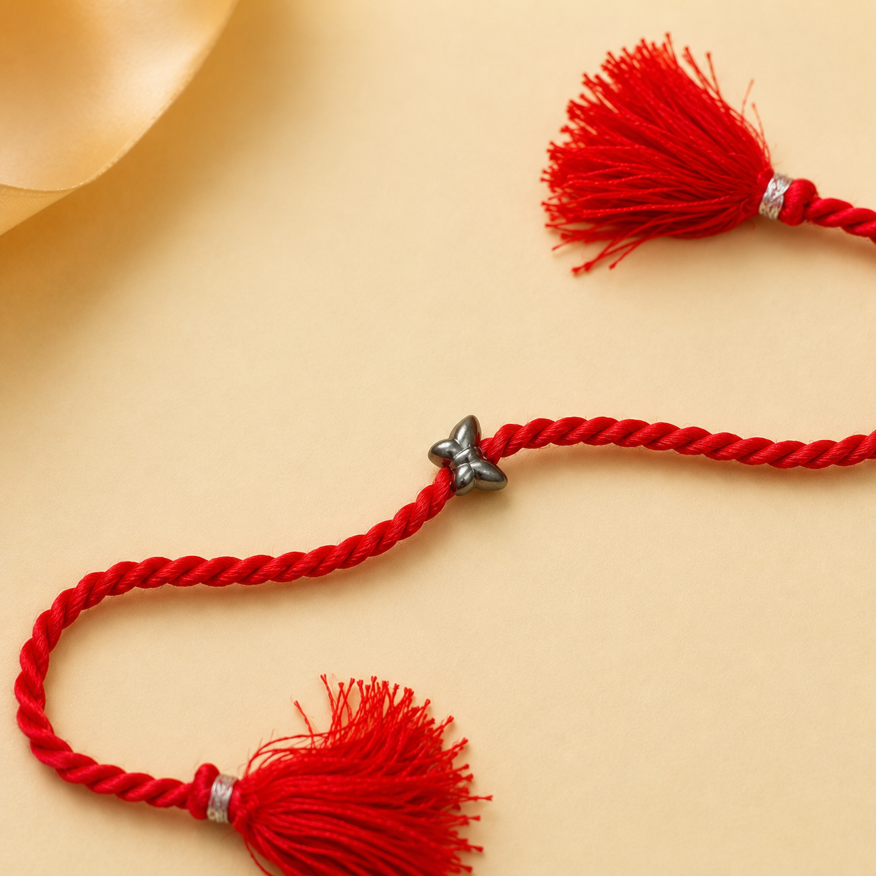 Butterfly-Inspired Silver Rakhi